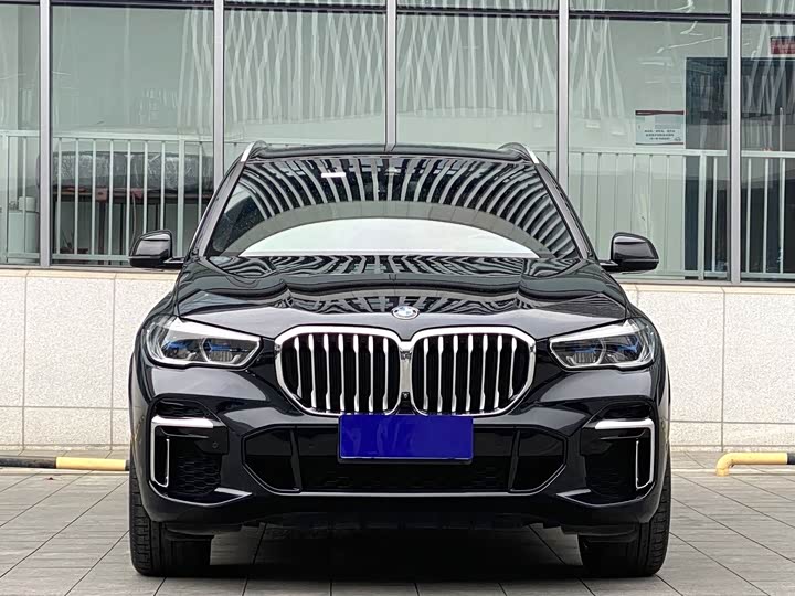 BMW X5 2022 x Drive 40 Li M — фото 2