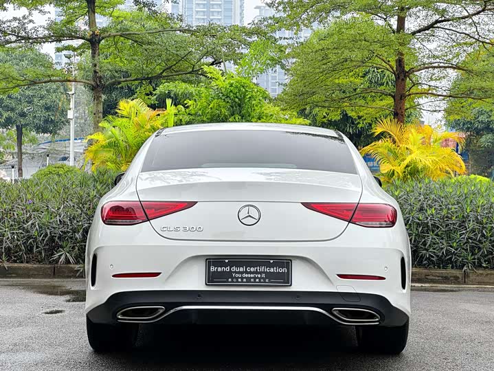 Mercedes-Benz CLS 2021 CLS 300 — фото 6