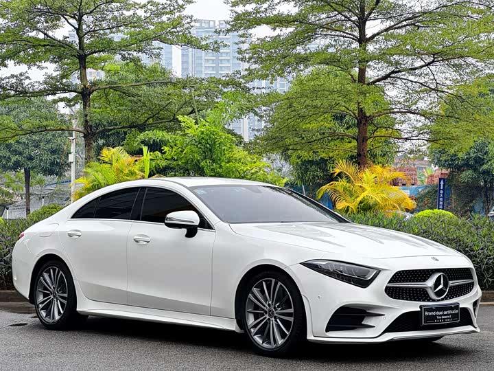 Mercedes-Benz CLS 2021 CLS 300 — фото 3