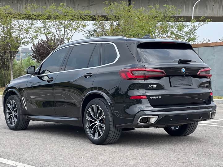 BMW X5 2022 x Drive 30 Li M — фото 6