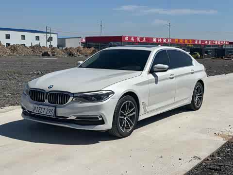 BMW 5-Series 2020 530 Li x Drive — фото 10