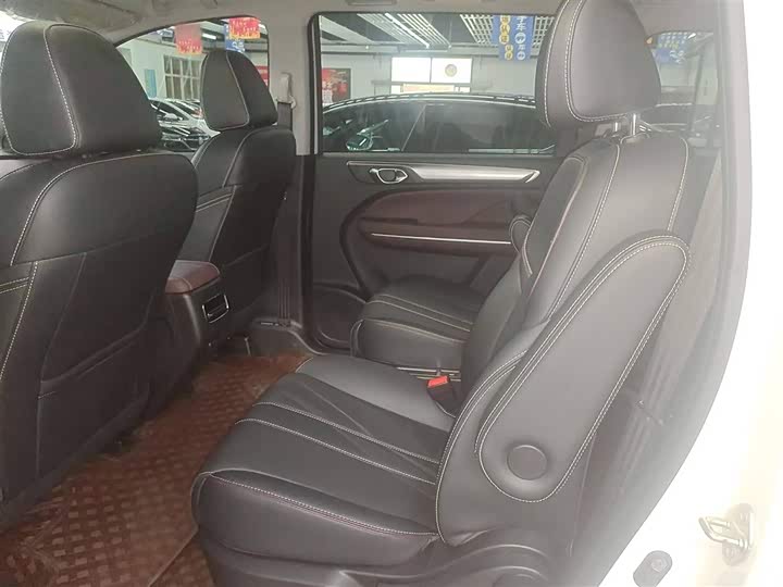 Trumpchi M6 2023 PRO 270 T DCT — фото 8