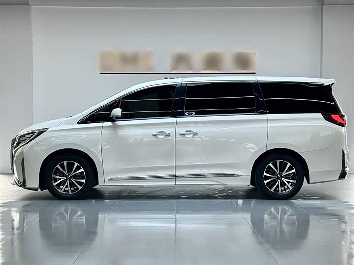 Trumpchi M8 2021 390 T — фото 9