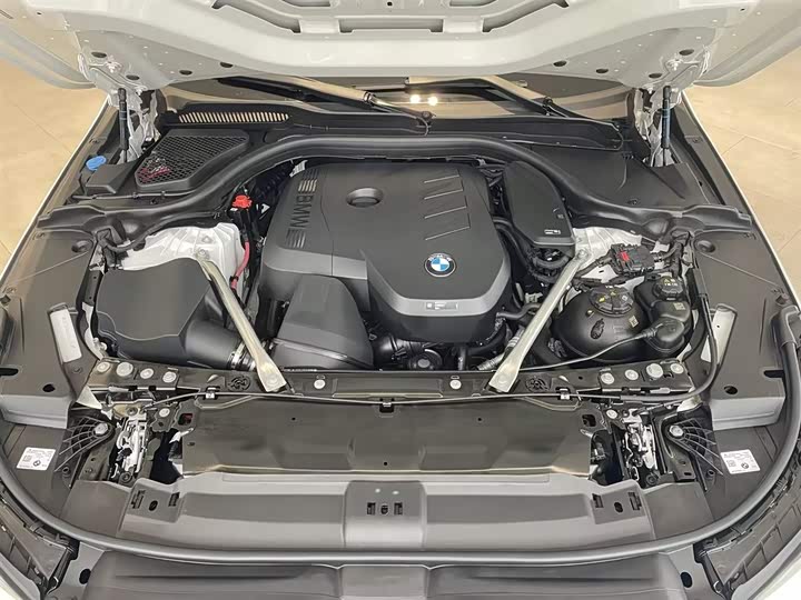 BMW 5-Series 2025 530 Li Leading M — фото 15