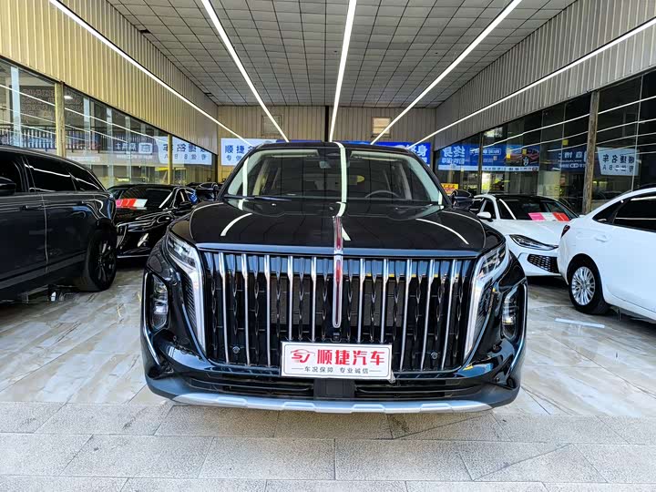 Hongqi HS7 PHEV 2024 2.0 T PHEV 4 WD 6 — фото 2