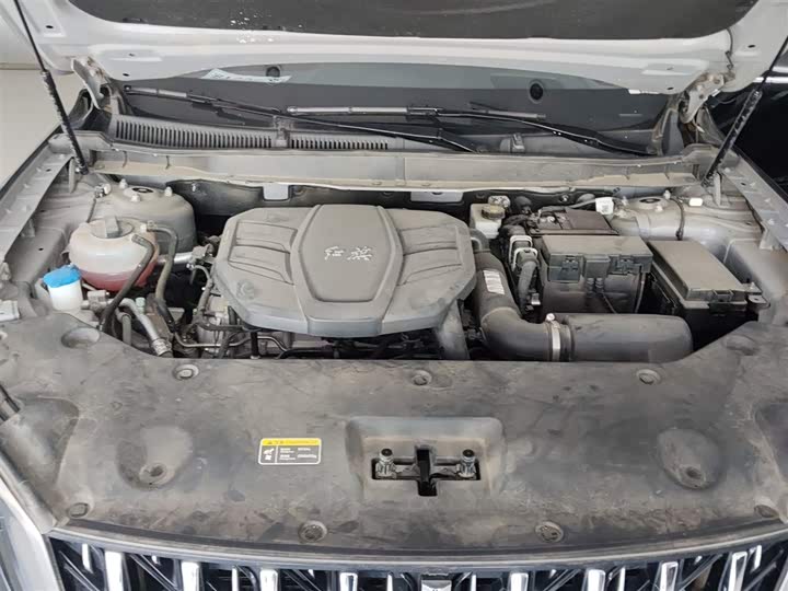 Hongqi HS5 2023 2.0 T 4 WD Pro — фото 16