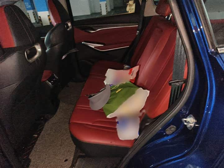 Changan CS75 PLUS 2020 2.0 T AT — фото 15