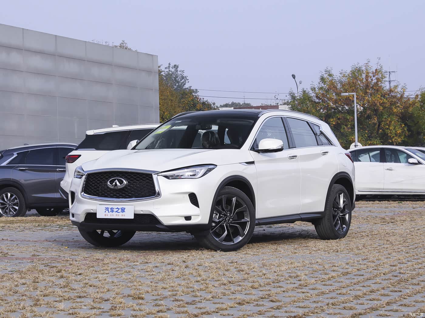 Infiniti QX50 2026 2026款 2.0T 两驱领航版