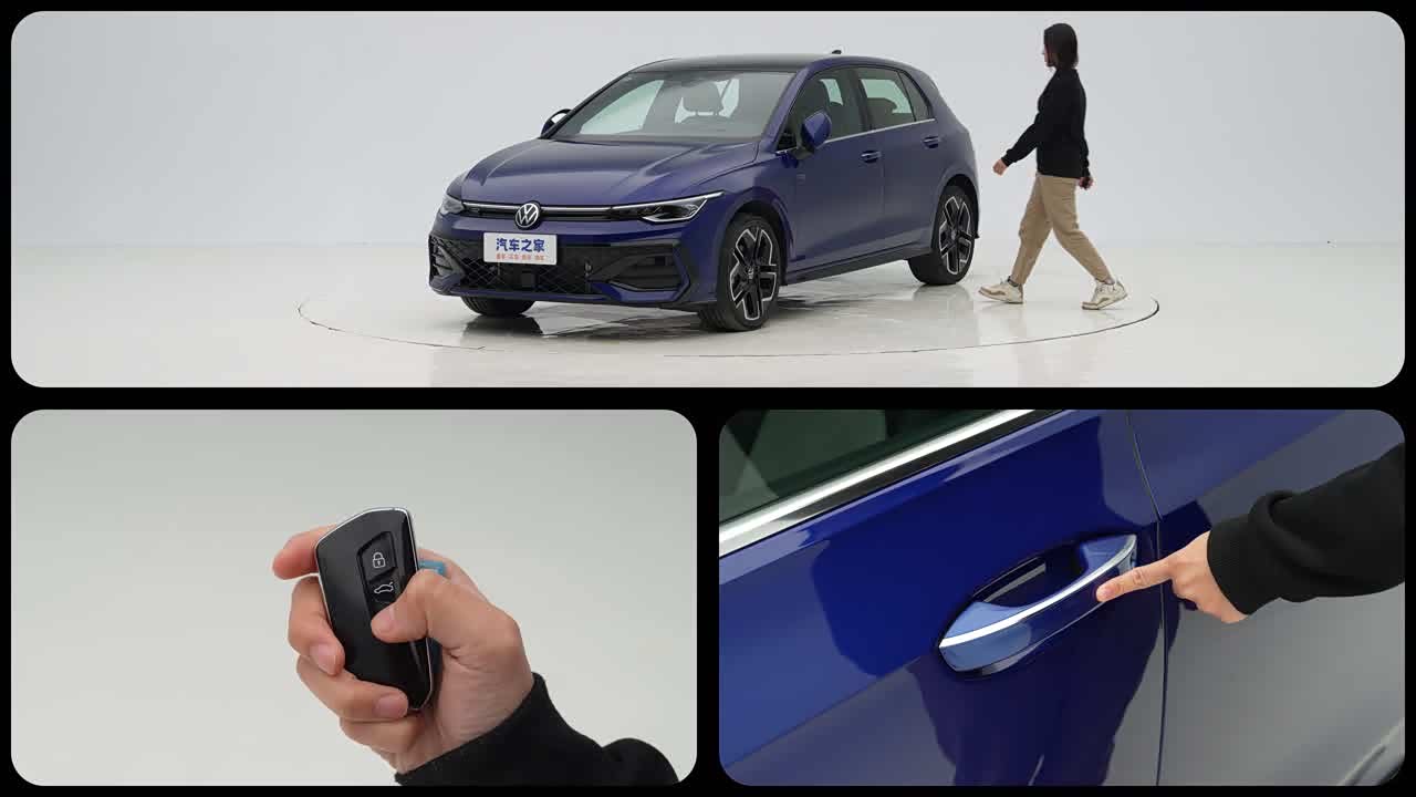 Volkswagen Golf 2026 2026款 300TSI Pro