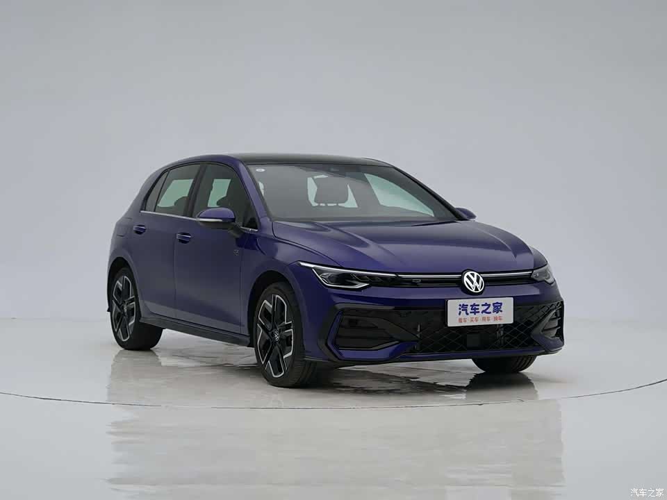 Volkswagen Golf 2026 2026款 300TSI Pro