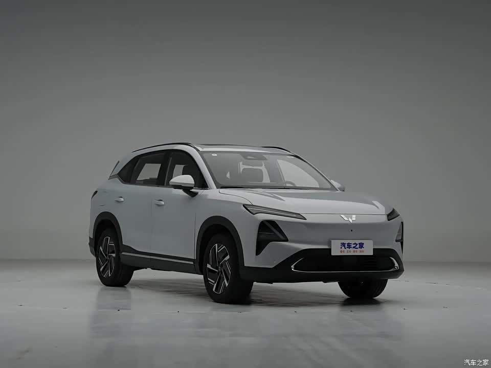 Wuling Motors Wuling Xingguang S 2025 2025款 130km 领航型