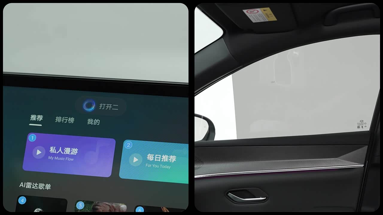 BYD Song Pro New Energy 2026 2026款 DM-i 133KM超越型