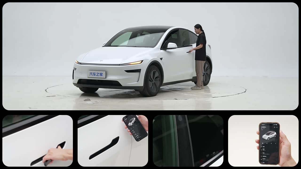 Tesla Model Y 2026 2026款 高性能全轮驱动版